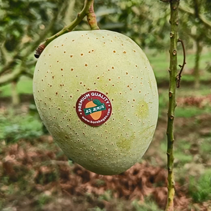 গৌড়মতি | Gouromoti 10 kg